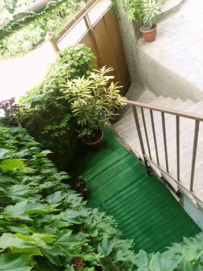 Guest House Vista Signagi Exterior foto
